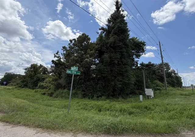 Photo 2 of Sale Pending at Lot 1 Hwy 99a, Mc David, FL 32568 | MLS# 687179 | Listing updated on 2026-09-09