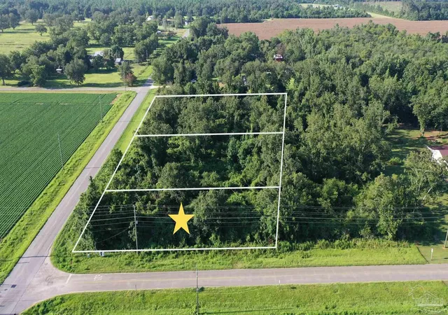 Photo 3 of Sale Pending at Lot 1 Hwy 99a, Mc David, FL 32568 | MLS# 687179 | Listing updated on 2026-09-09