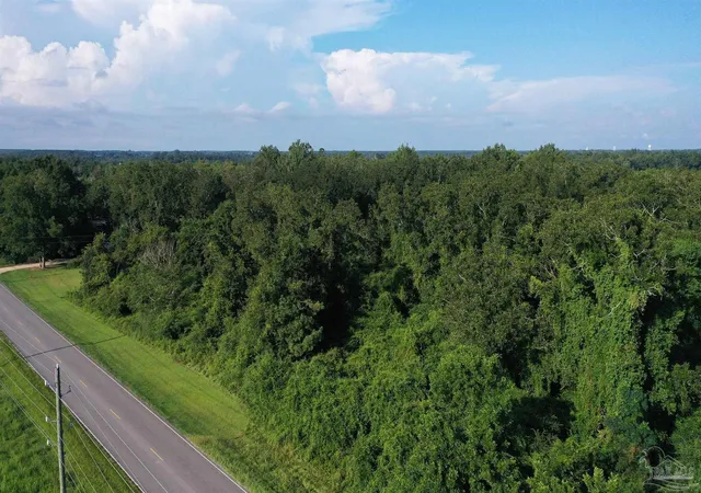Photo 4 of Sale Pending at Lot 1 Hwy 99a, Mc David, FL 32568 | MLS# 687179 | Listing updated on 2026-09-09