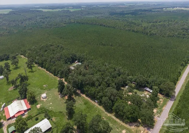 43rd image of 3101 Breastworks Rd, Mc David, FL 32568 | MLS# 686825