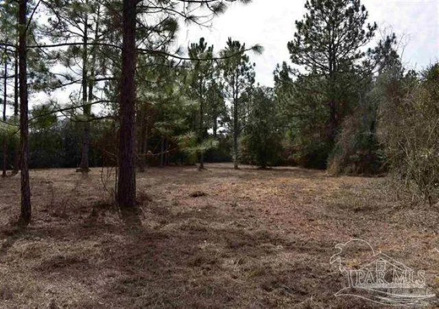 Photo 4 of Land for sale at 0004 Pat Brown Rd, Milton, FL 32570 | MLS# 687002 | Listing updated on 2026-08-26