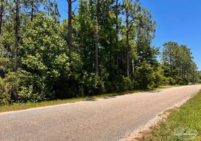 Photo 3 of Land for sale at Lot 51 Mineral Springs Rd, Jay, FL 32565 | MLS# 686745 | Listing updated on 2026-07-30