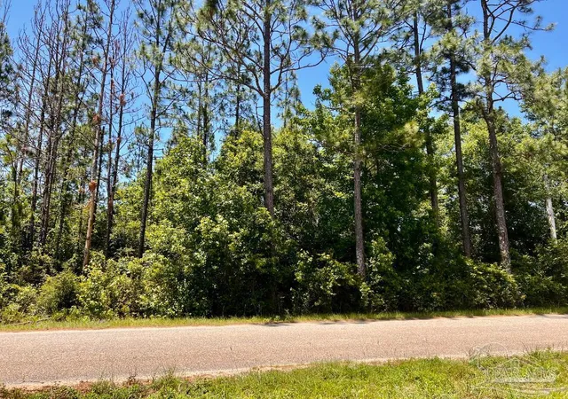 Photo 4 of Land for sale at Lot 51 Mineral Springs Rd, Jay, FL 32565 | MLS# 686745 | Listing updated on 2026-07-30