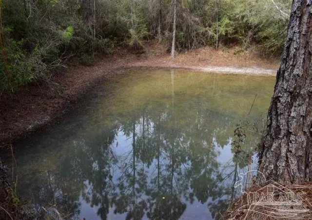 Photo 2 of Land for sale at 0003 Pat Brown Rd, Milton, FL 32570 | MLS# 687001 | Listing updated on 2026-08-26