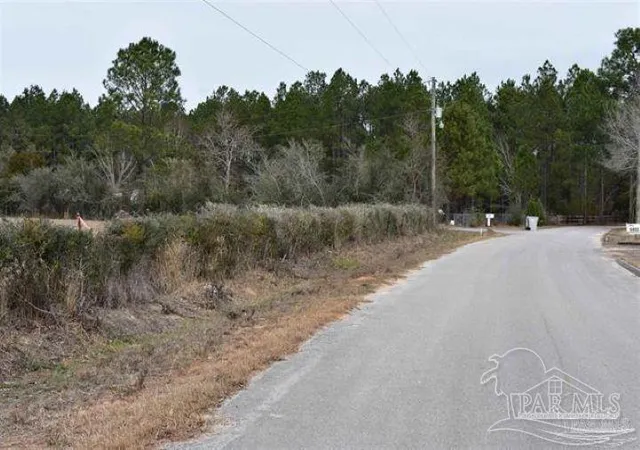 Photo 3 of Land for sale at 0003 Pat Brown Rd, Milton, FL 32570 | MLS# 687001 | Listing updated on 2026-08-26