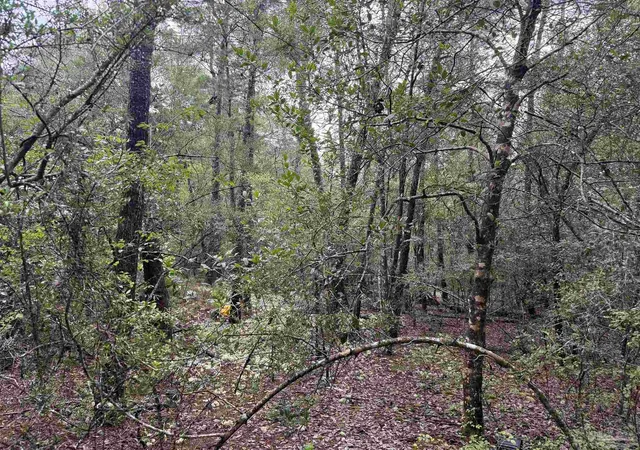 Photo 10 of Sale Pending at 0 Kervin Rd, Crestview, FL 32539 | MLS# 686262 | Listing updated on 2026-08-25