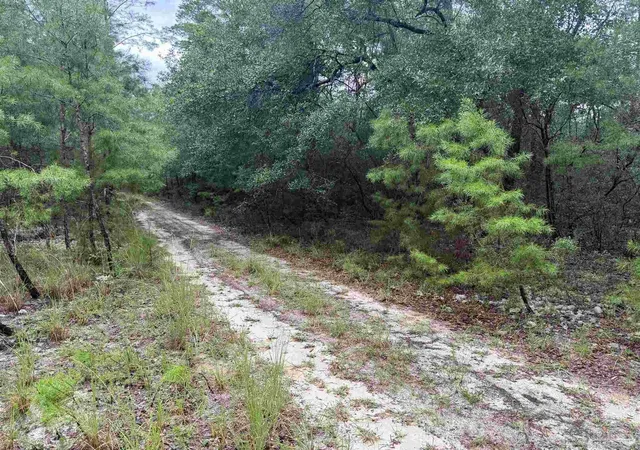Photo 3 of Sale Pending at 0 Kervin Rd, Crestview, FL 32539 | MLS# 686262 | Listing updated on 2026-08-25
