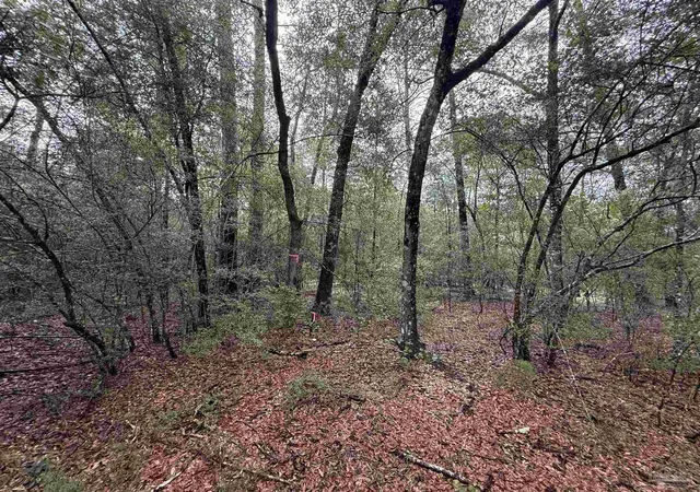 Photo 4 of Sale Pending at 0 Kervin Rd, Crestview, FL 32539 | MLS# 686262 | Listing updated on 2026-08-25