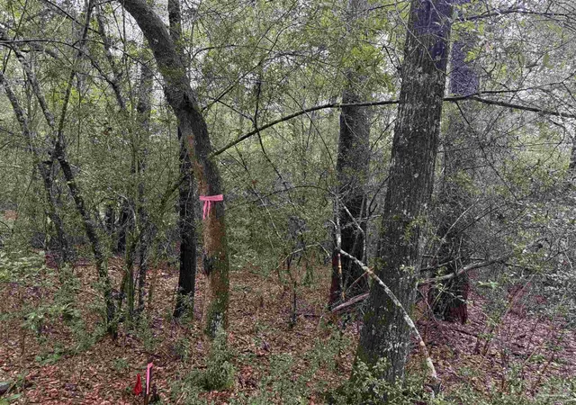 Photo 5 of Sale Pending at 0 Kervin Rd, Crestview, FL 32539 | MLS# 686262 | Listing updated on 2026-08-25