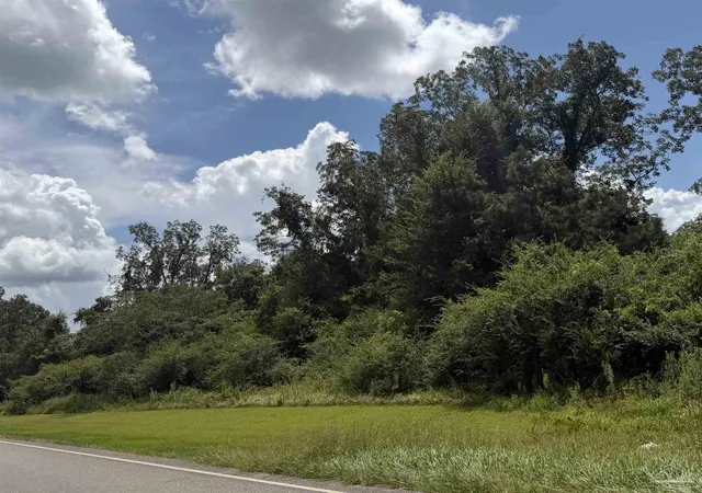 15th image of Lot 3 Hwy 99, Mc David, FL 32568 | MLS# 687300