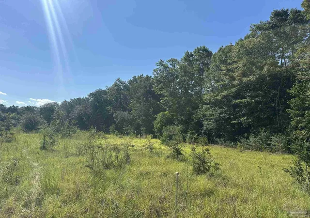 4th image of Xxx 9+/- Ac Munson Hwy, Milton, FL 32570 | MLS# 687946