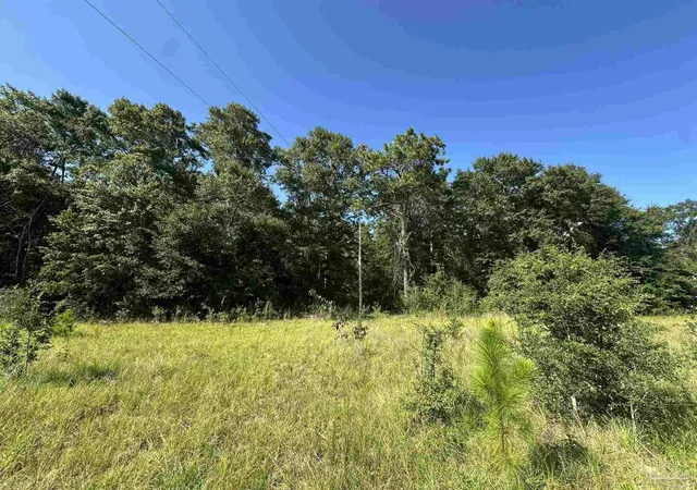 5th image of Xxx 9+/- Ac Munson Hwy, Milton, FL 32570 | MLS# 687946