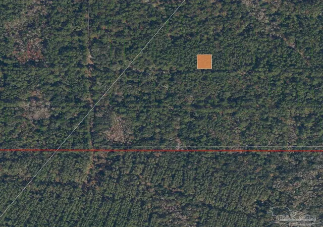 Photo 2 of Land for sale at 214 Garrison Ave, Georgetown, FL 32139 | MLS# 687662 | Listing updated on 2026-08-18