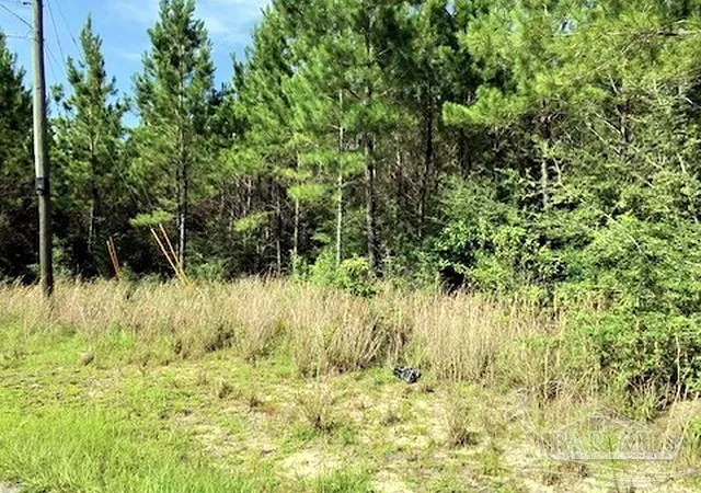8th image of Lot 35 Mbn Molino Bridge Rd, Milton, FL 32571 | MLS# 686833