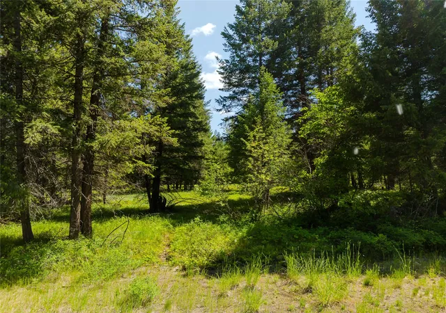 Photo 4 of Land for sale at Tbd, Lot 4 Parmenter Rd, Libby, MT 59923 | MLS# 22107813 | Listing updated on 2026-08-16