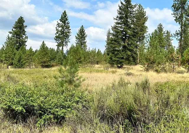 Photo 1 of Land for sale at 39 Bighorn Bluff Loop, Plains, MT 59859 | MLS# 30011987 | Listing updated on 2026-07-01
