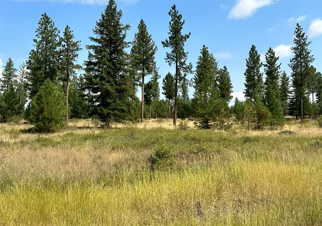 Photo 3 of Land for sale at 39 Bighorn Bluff Loop, Plains, MT 59859 | MLS# 30011987 | Listing updated on 2026-07-01