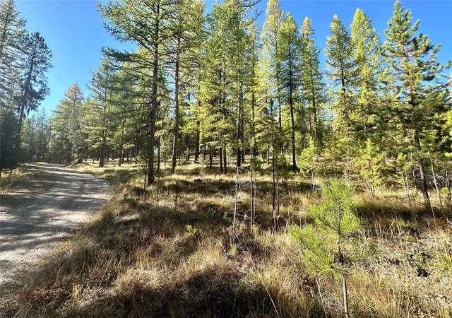 Photo 1 of Land for sale at 000 Bhong Ln, Marion, MT 59925 | MLS# 30035090 | Listing updated on 2026-08-19