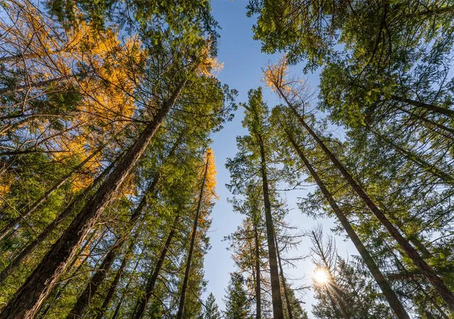 Photo 3 of Land for sale at 156 Peters Creek Way, Kalispell, MT 59901 | MLS# 30036097 | Listing updated on 2026-08-24