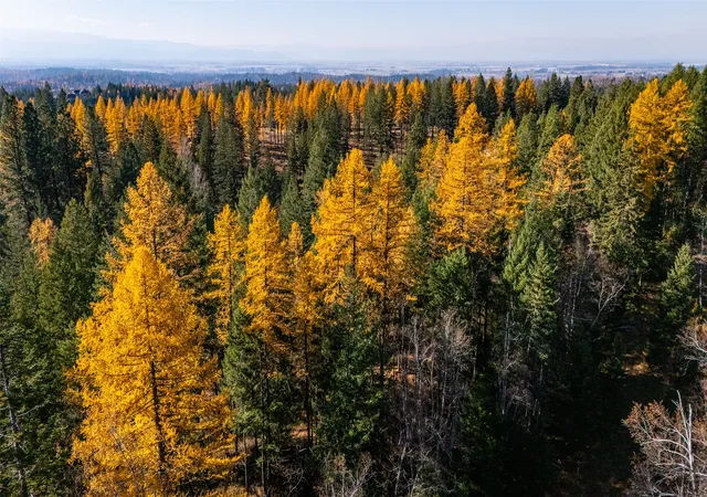 Photo 4 of Land for sale at 156 Peters Creek Way, Kalispell, MT 59901 | MLS# 30036097 | Listing updated on 2026-08-24