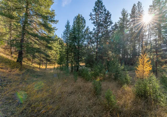 Photo 5 of Land for sale at 156 Peters Creek Way, Kalispell, MT 59901 | MLS# 30036097 | Listing updated on 2026-08-24