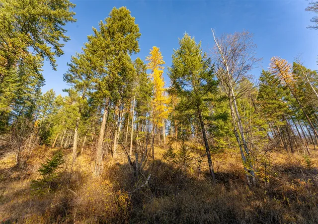 Photo 69 of Land for sale at 156 Peters Creek Way, Kalispell, MT 59901 | MLS# 30036097 | Listing updated on 2026-08-24