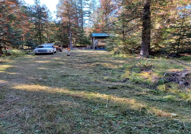 Photo 4 of Land for sale at 777 Cedars Dr, Troy, MT 59935 | MLS# 30036309 | Listing updated on 2026-08-07