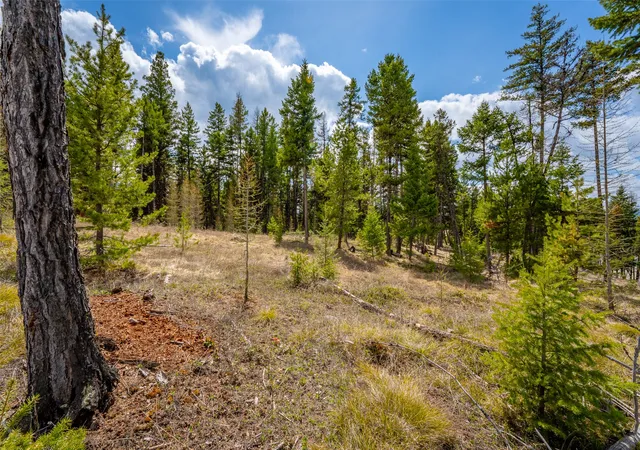 Photo 1 of Land for sale at 120 Marion Pines Dr, Marion, MT 59925 | MLS# 30040881 | Listing updated on 2026-07-01
