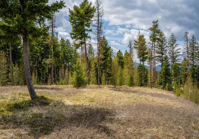 Photo 2 of Land for sale at 120 Marion Pines Dr, Marion, MT 59925 | MLS# 30040881 | Listing updated on 2026-07-01