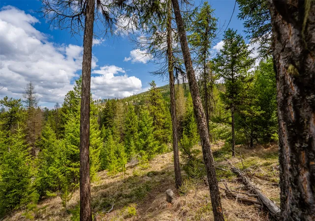 Photo 3 of Land for sale at 120 Marion Pines Dr, Marion, MT 59925 | MLS# 30040881 | Listing updated on 2026-07-01
