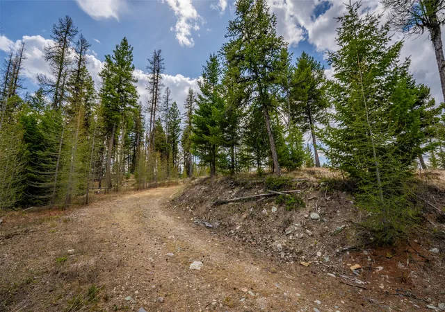 Photo 3 of Land for sale at 120 Marion Pines Dr, Marion, MT 59925 | MLS# 30040881 | Listing updated on 2026-07-01