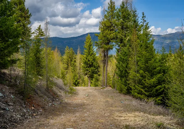 Photo 4 of Land for sale at 120 Marion Pines Dr, Marion, MT 59925 | MLS# 30040881 | Listing updated on 2026-07-01