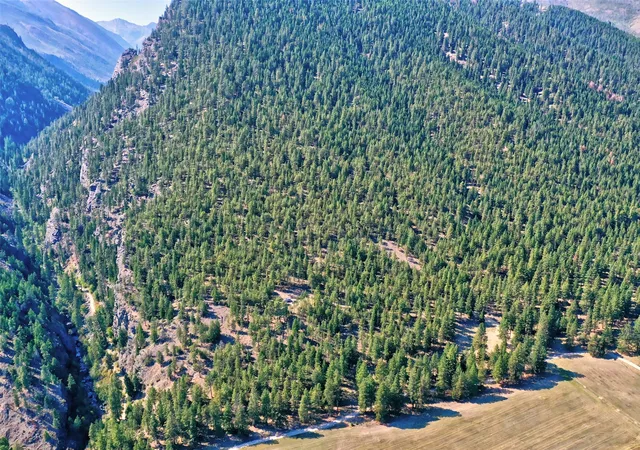 Photo 4 of Land for sale at 450 N Kootenai Creek Rd, Stevensville, MT 59870 | MLS# 30046633 | Listing updated on 2026-07-01