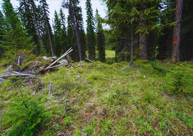 Photo 3 of Land for sale at Nhn Hwy 93, Olney, MT 59927 | MLS# 30051179 | Listing updated on 2026-10-05