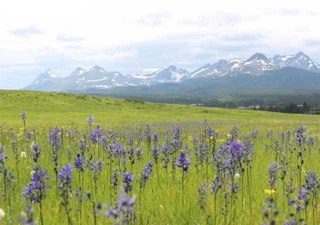 Photo 1 of Land for sale at 21001 Us Hwy 2, East Glacier Park, MT 59434 | MLS# 30051733 | Listing updated on 2026-08-24