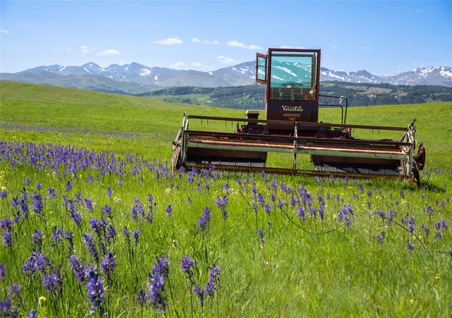 Photo 4 of Land for sale at 21001 Us Hwy 2, East Glacier Park, MT 59434 | MLS# 30051733 | Listing updated on 2026-08-24