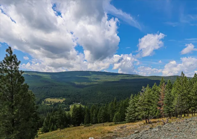 Photo 3 of Land for sale at 1675 Virginia Hl Rd, Rexford, MT 59930 | MLS# 30054529 | Listing updated on 2026-08-17