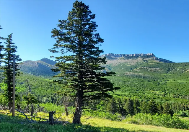 Photo 1 of Land for sale at 3384 Joslin Crk Rd, Augusta, MT 59410 | MLS# 30056272 | Listing updated on 2026-08-21