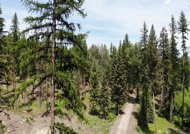 Photo 3 of Land for sale at Commonly Known As Tract 2 In Swsw, Libby, MT 59923 | MLS# 30056410 | Listing updated on 2026-08-24