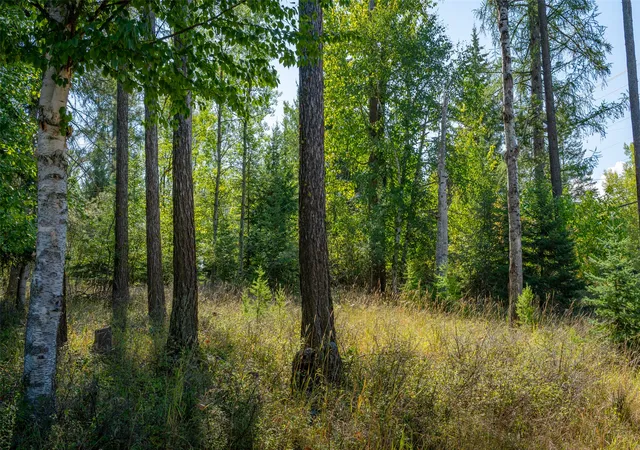Photo 36 of Land for sale at 1000 Colorado Ave, Whitefish, MT 59937 | MLS# 30056521 | Listing updated on 2026-08-20