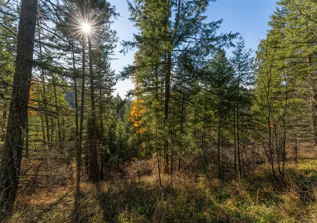 Photo 62 of Land for sale at 150 Peters Creek Way, Kalispell, MT 59901 | MLS# 30056884 | Listing updated on 2026-08-24