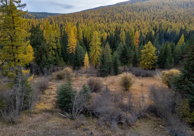Photo 3 of Land for sale at Nhn Seventeen Mile Rd, Troy, MT 59935 | MLS# 30060456 | Listing updated on 2026-08-07