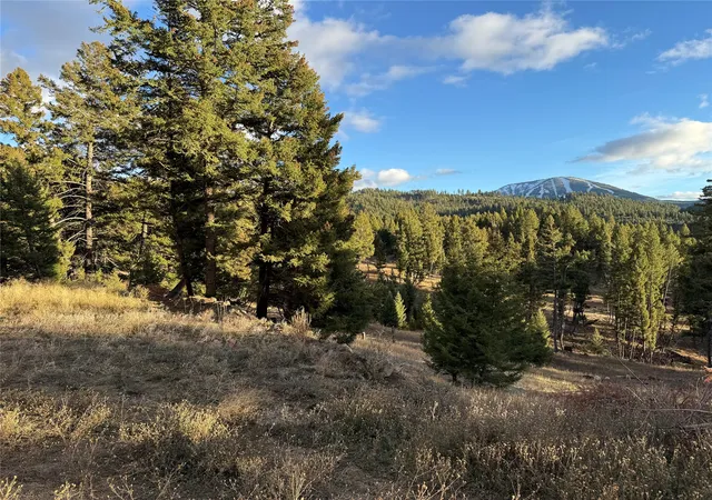 Photo 1 of Land for sale at Lot 4 Scranton Lode, Philipsburg, MT 59858 | MLS# 30060683 | Listing updated on 2026-07-01