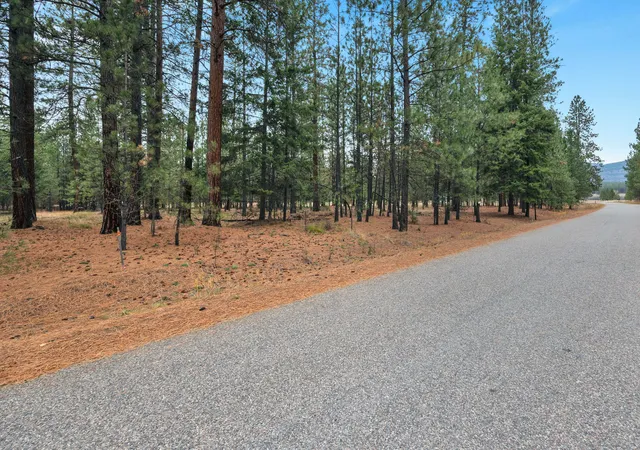Photo 1 of Land for sale at Nhn Swamp Crk Rd, Plains, MT 59859 | MLS# 30061098 | Listing updated on 2026-08-17