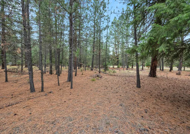 Photo 27 of Land for sale at Nhn Swamp Crk Rd, Plains, MT 59859 | MLS# 30061098 | Listing updated on 2026-08-17