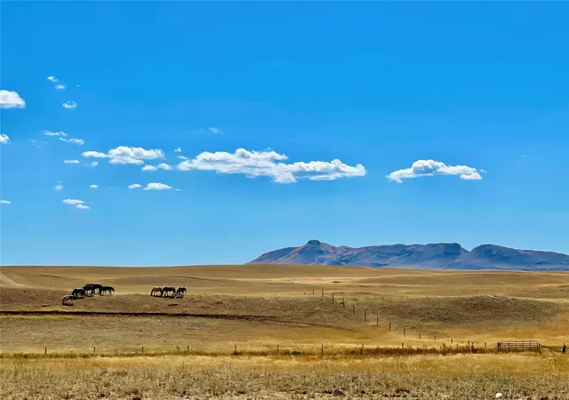 Photo 1 of Land for sale at Nhn County Rd 440 E, Havre, MT 59501 | MLS# 30062137 | Listing updated on 2026-08-24