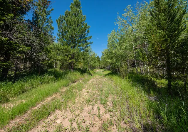 Photo 4 of Land for sale at No Known 2 Bear Springs Rd #NO, Lincoln, MT 59639 | MLS# 30063883 | Listing updated on 2026-08-19