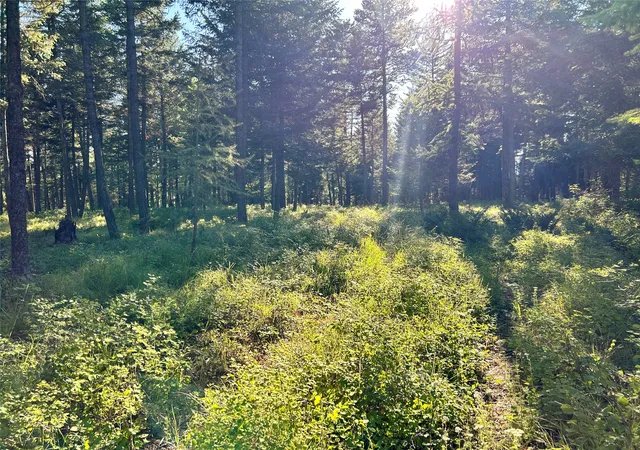 Photo 32 of Land for sale at Tbd Eagle Run Dr, Whitefish, MT 59937 | MLS# 30063891 | Listing updated on 2026-08-19