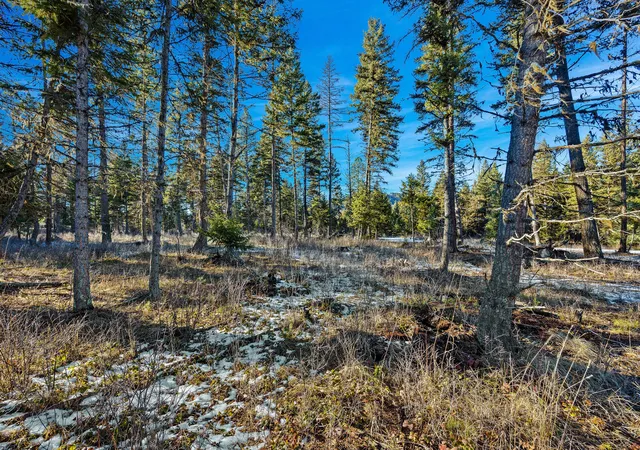 Photo 1 of Land for sale at Nhn N Dayton Crk Rd, Proctor, MT 59929 | MLS# 30063913 | Listing updated on 2026-07-06