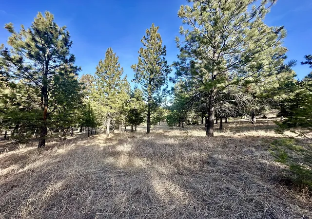 Photo 2 of Land for sale at Tbd Martinez Gulch, Clancy, MT 59634 | MLS# 30064332 | Listing updated on 2026-08-21